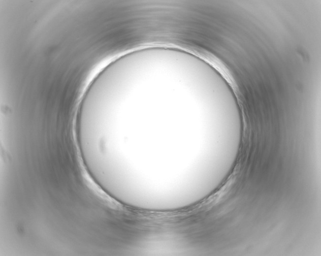X0000090950958200708021059
