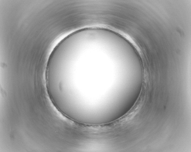 X0000090950959200708021059