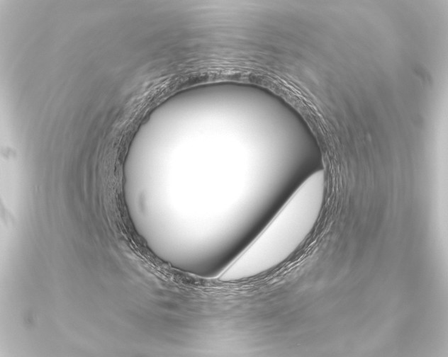 X0000090950961200708021058
