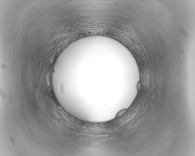 X0000090950962200708021058