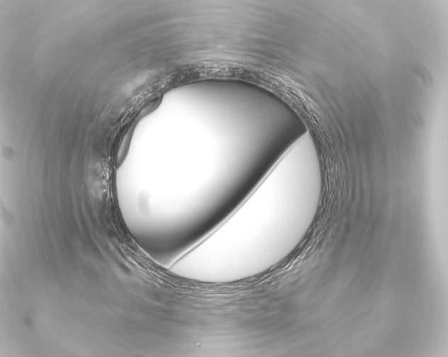 X0000090950964200708021058