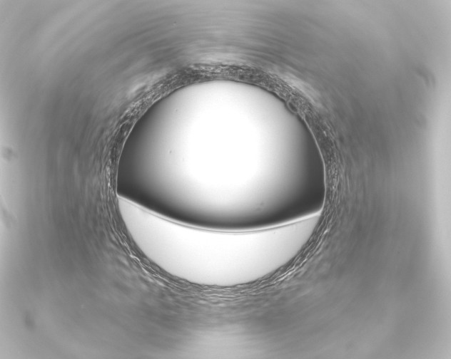 X0000090950965200708021058