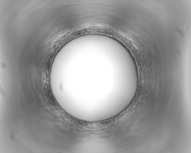 X0000090950966200708021058