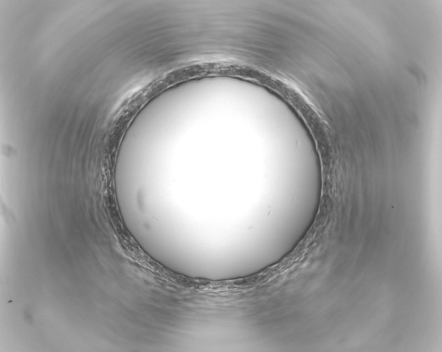 X0000090950967200708021058