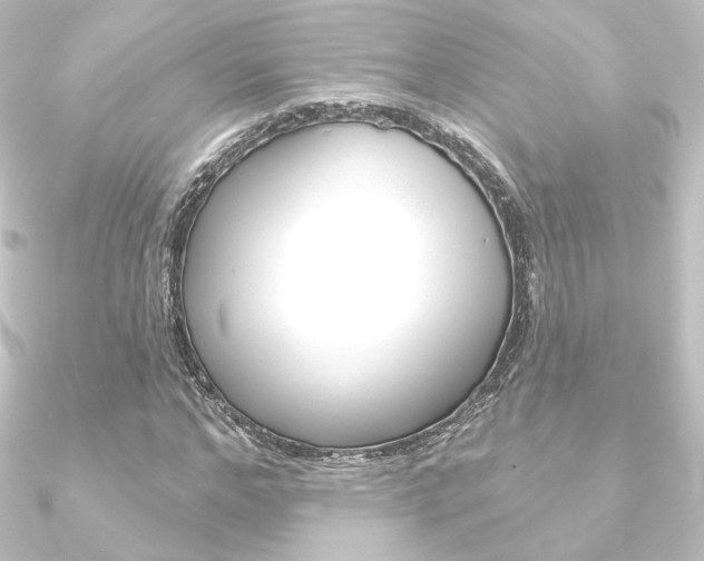 X0000090950968200708021058