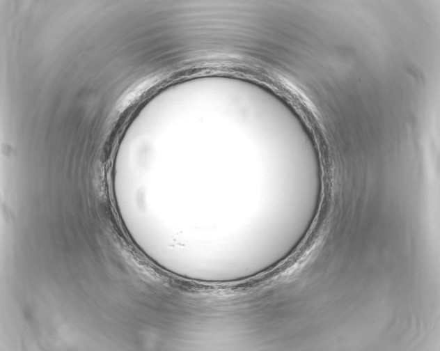 X0000090950970200708021058