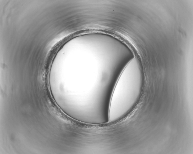 X0000090950971200708021058