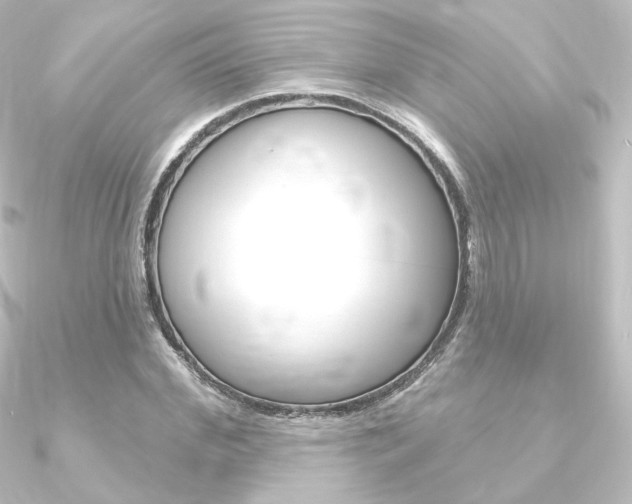 X0000090950972200708021058