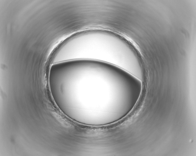 X0000090950973200708021058