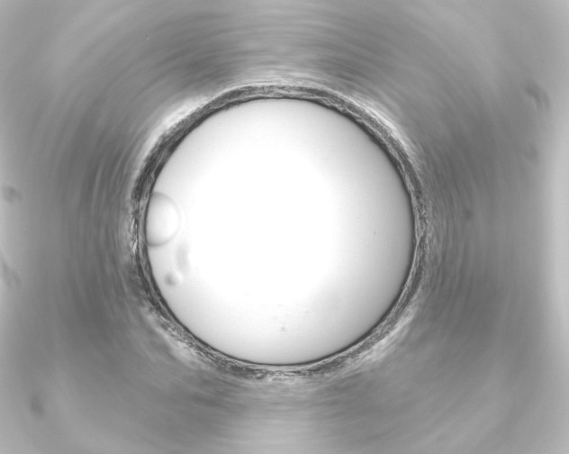 X0000090950974200708021058