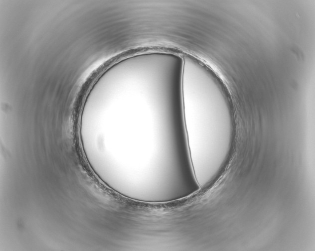 X0000090950975200708021058