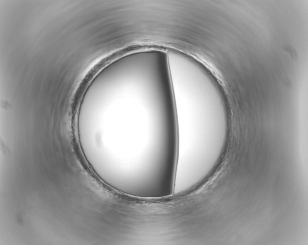 X0000090950976200708021058