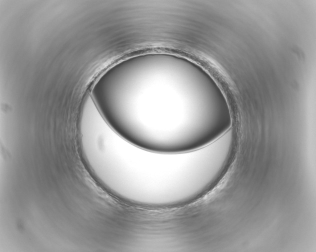 X0000090950977200708021058