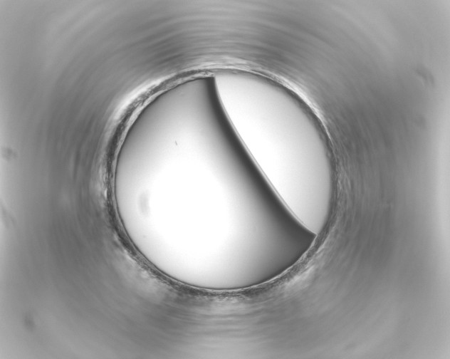 X0000090950979200708021058