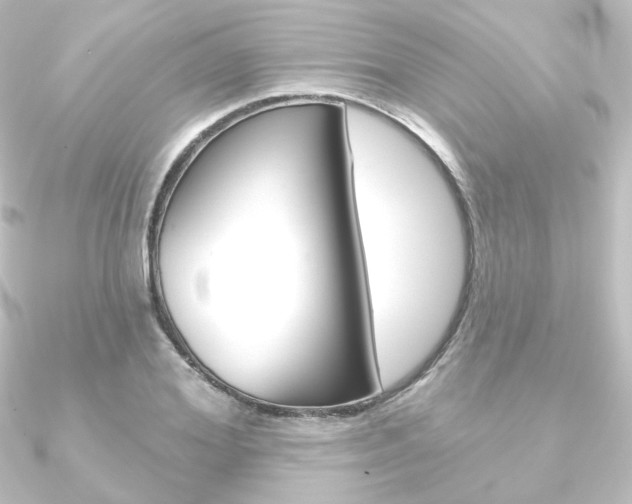X0000090950980200708021058