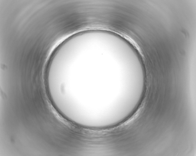 X0000090950981200708021058