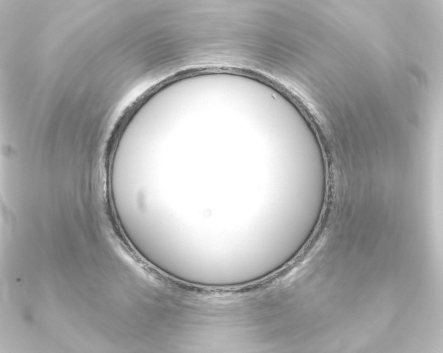 X0000090950982200708021058
