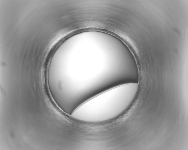 X0000090950983200708021058
