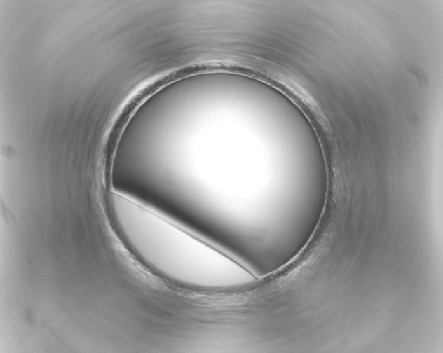 X0000090950984200708021058