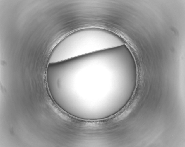 X0000090950985200708021058