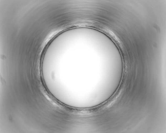 X0000090950986200708021058