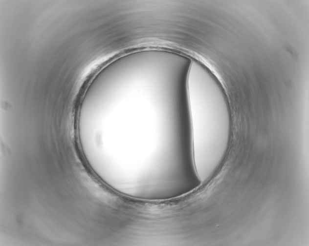 X0000090950987200708021058
