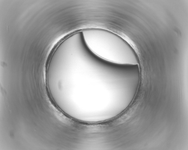 X0000090950988200708021058