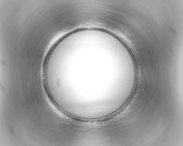 X0000090950990200708021058