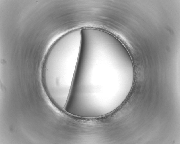 X0000090950991200708021058