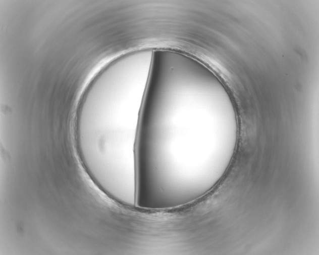 X0000090950992200708021058