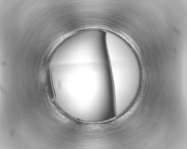 X0000090950993200708021057
