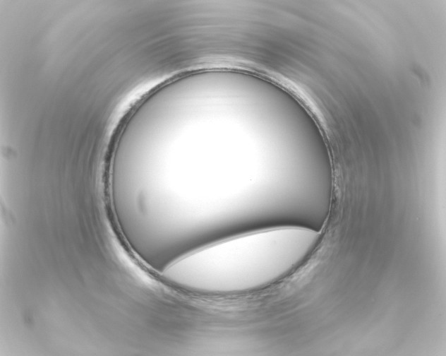 X0000090950995200708021057