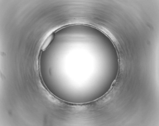 X0000090950996200708021057
