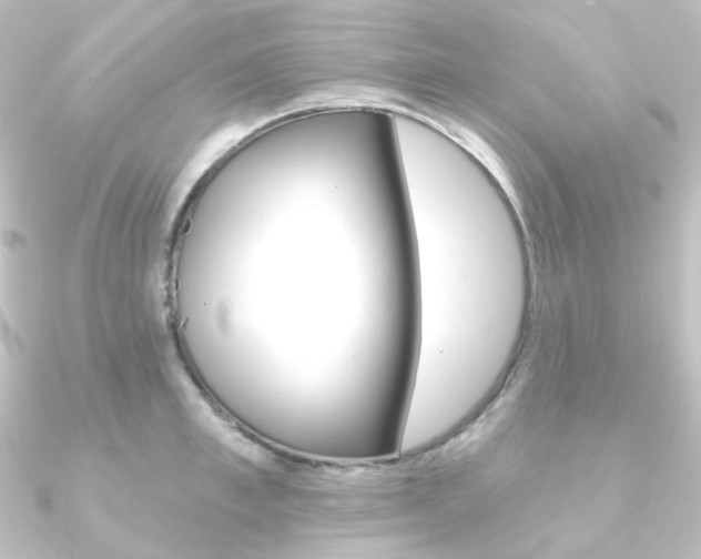 X0000090950997200708021057