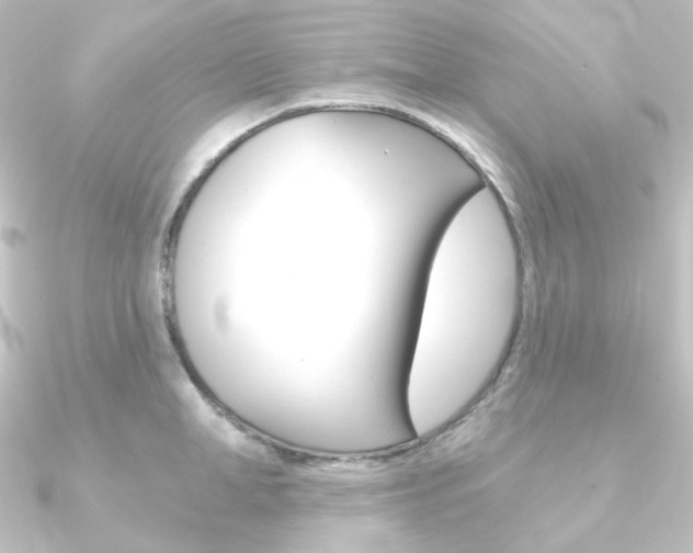 X0000090950998200708021057