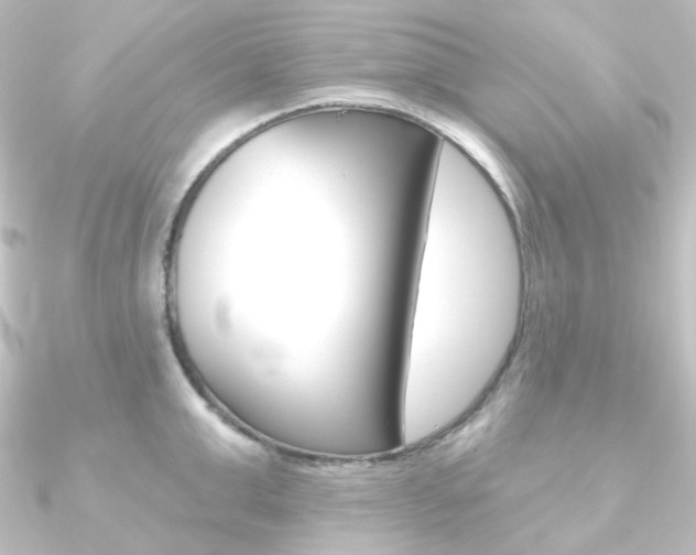X0000090950999200708021057
