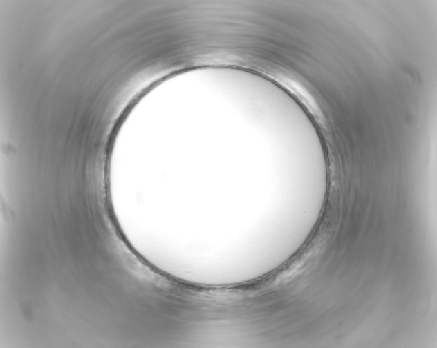 X0000090951000200708021057