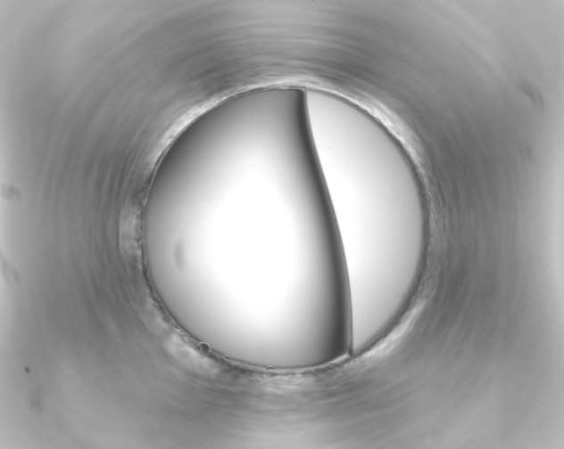 X0000090951001200708021057