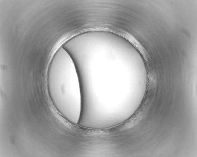 X0000090951002200708021057