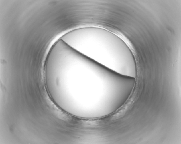 X0000090951004200708021057
