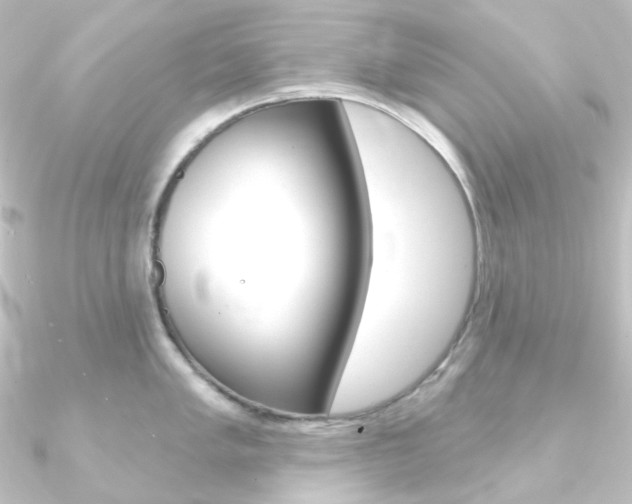 X0000090951005200708021057