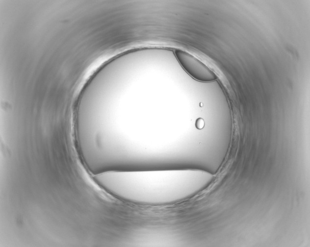 X0000090951006200708021057