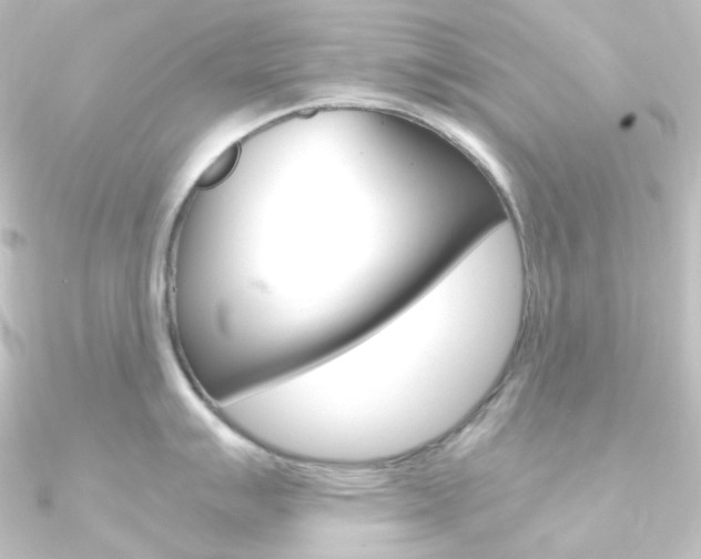 X0000090951007200708021057