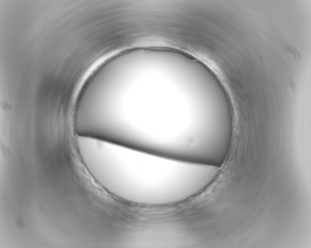 X0000090951008200708021057