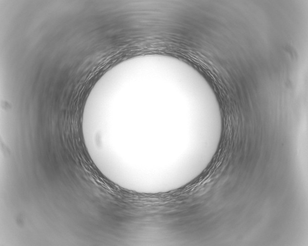 X0000090951010200708021057