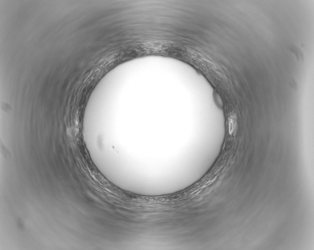 X0000090951011200708021057