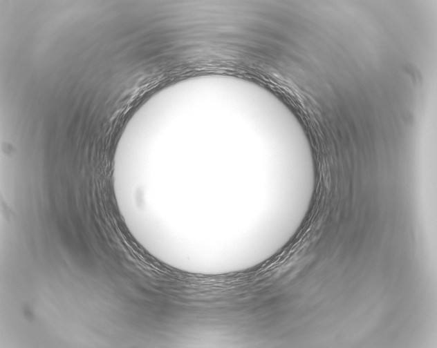 X0000090951012200708021057