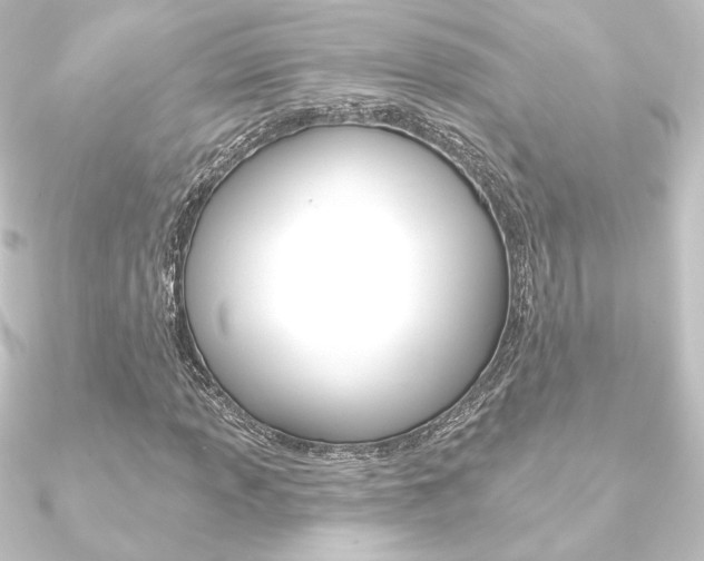 X0000090951013200708021057