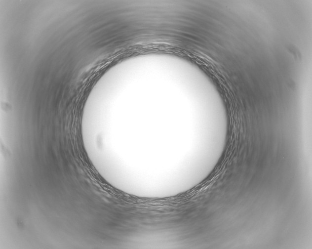 X0000090951014200708021057