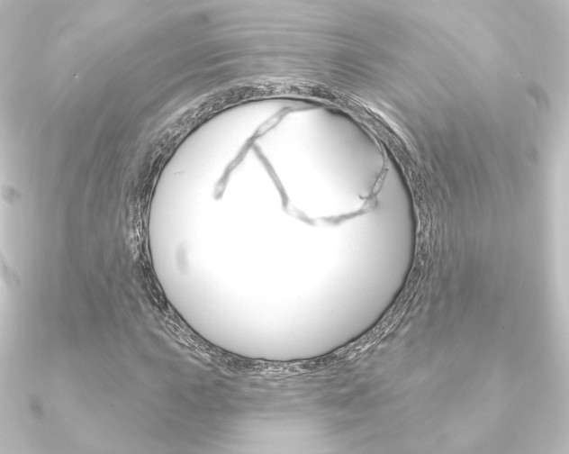X0000090951015200708021057